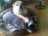 IMG-20110407-00003.jpg IMG-20110407-00003.jpg