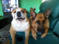 IMG-20110926-00030.jpg IMG-20110926-00030.jpg