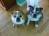 IMG00145-20110209-0846.jpg IMG00145-20110209-0846.jpg