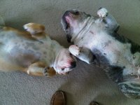 IMG00017-20101019-1330.jpg IMG00017-20101019-1330.jpg