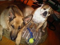 IMG00152-20110210-2046.jpg IMG00152-20110210-2046.jpg