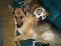 IMG00156-20110211-1630.jpg IMG00156-20110211-1630.jpg