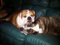 IMG00118-20101228-1845.jpg IMG00118-20101228-1845.jpg