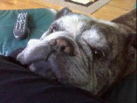 IMG00055.jpg IMG00055.jpg