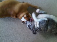 IMG00018-20101019-1330.jpg IMG00018-20101019-1330.jpg