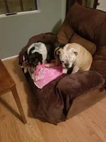 Ruby and austin.webp