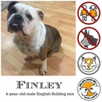 Finley.webp