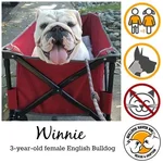 Winnie.webp