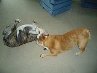 DSC01696.JPG DSC01696.JPG