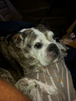 20140902_191713.jpg 20140902_191713.jpg