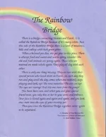 rainbow-bridge.webp rainbow-bridge.webp
