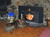 DSCN8228.webp