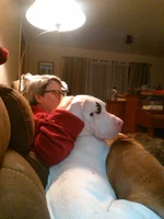 IMG_2017-12-10_19-57-04.webp