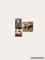 IMG_2867.webp IMG_2867.webp