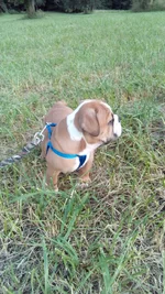 IMG_20170619_181645.webp