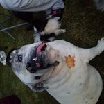 20180623_213125.jpg
