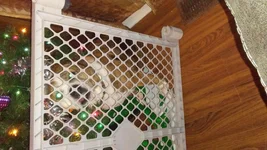 20171215_002202.webp