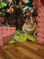 20171212_172849.webp