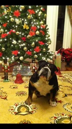 image.webp