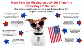 4th-of-july-pet-safety1.png
