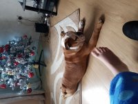 20181202_125210.jpg