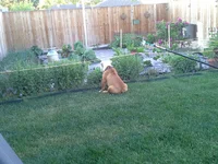 Wonder if she's looking.webp