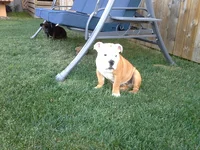 I think she's mad.webp
