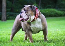 28969880-CF99-46D5-9D5B-D68CE918DE8E.webp