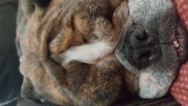 20170703_105004.jpg