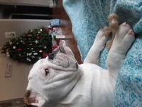 20181225_092454.webp