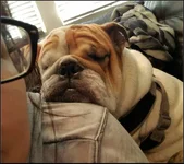 uploadfromtaptalk1499204200655.webp