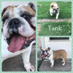 Tank01.png Tank01.png