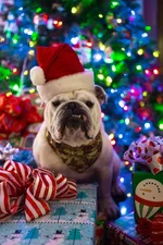 F2288931-8930-482F-BCA1-CDAE8D9A8321.webp