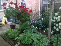 image.webp