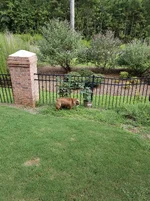 20170625_194046.webp