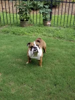 20170625_194103.webp