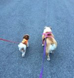 IMG_7714.jpg IMG_7714.jpg