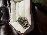 20180718_190231.webp
