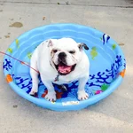 poolday.webp poolday.webp