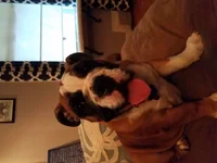 20170706_195116.webp