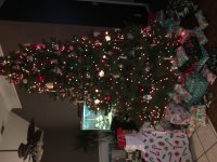 IMG_9594.JPG