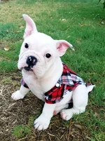 20180727_183101.webp