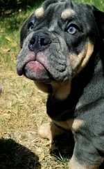 20180728_180910.webp