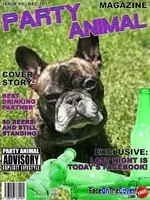 Magazinecheli.webp Magazinecheli.webp
