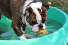 IMG_1919.webp IMG_1919.webp