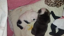 20180730_055524.webp
