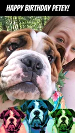 Petey_HB_6.webp