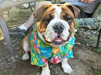 Petey_HBD_2.webp