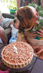 Petey_HBD_5.webp