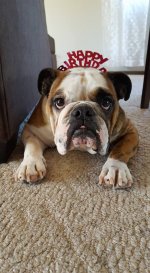 Boris Birthday.jpg Boris Birthday.jpg